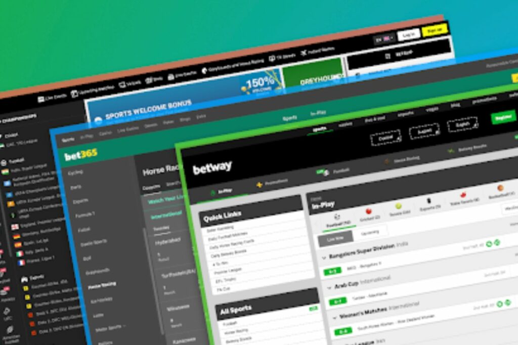 Top Indian sports betting websites overview